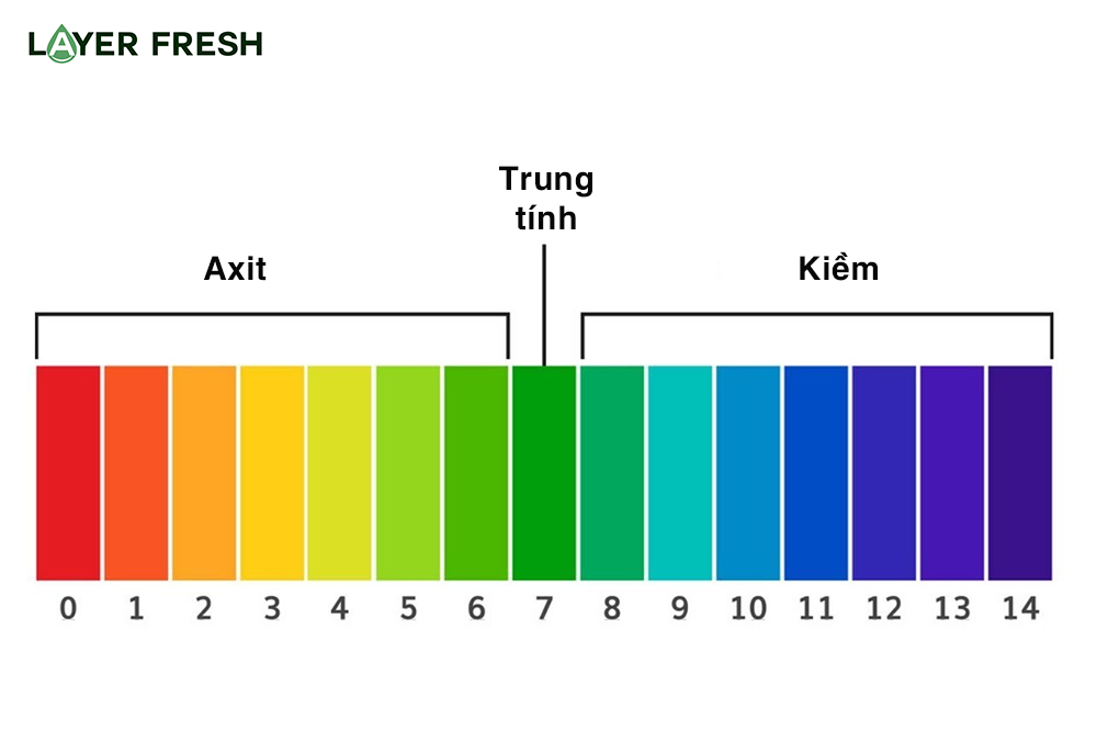 Cân bằng độ pH trong cơ thể 